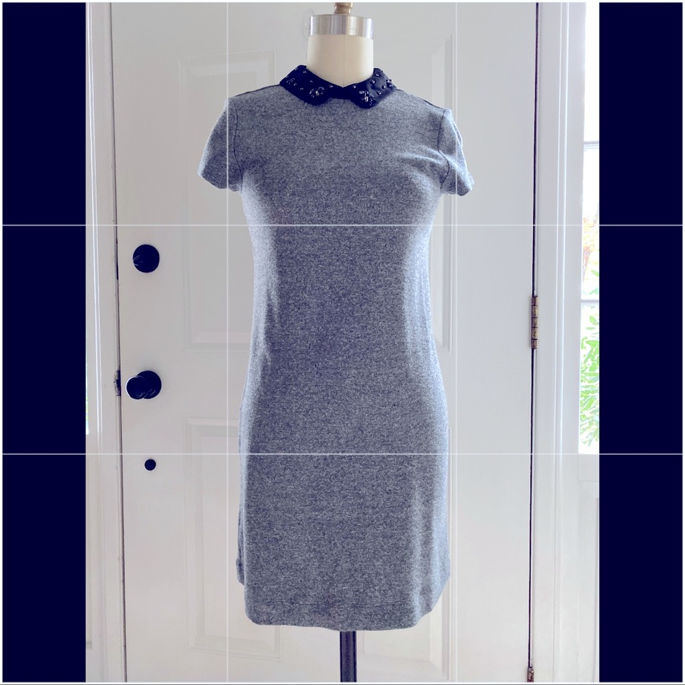LOFT collar dress